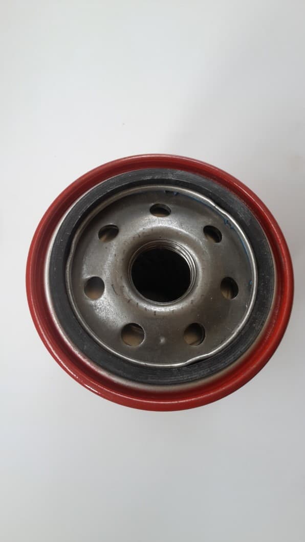 filtro gasolio 301 2
